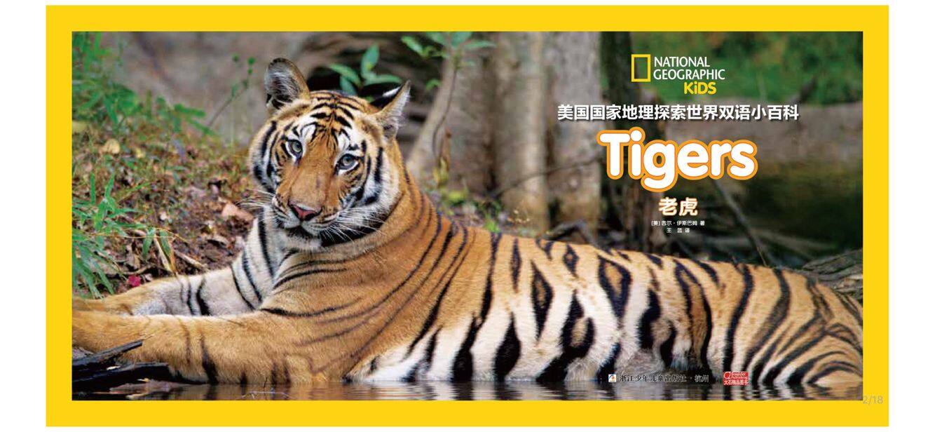 老虎绘本故事第2页