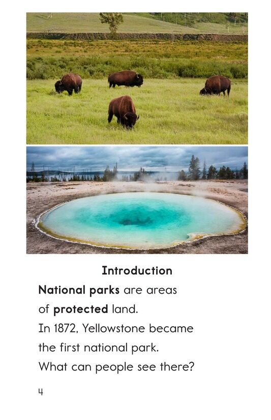 Yellowstone:A Place of Wild Wonders绘本故事第3页