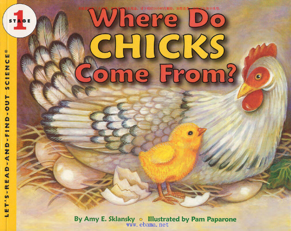 Where Do Chicks Come From绘本故事第2页