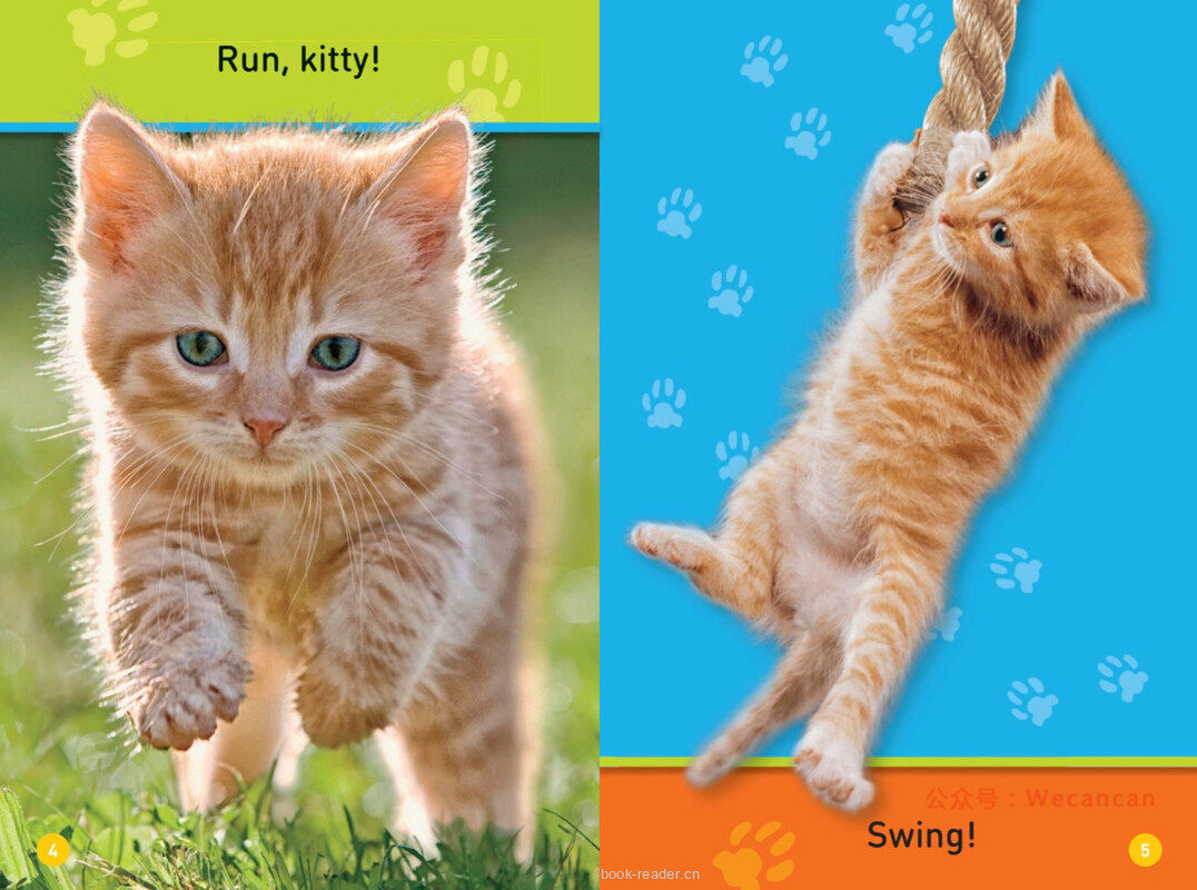 Play Kitty绘本故事第4页