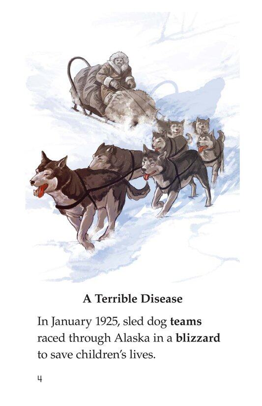 Sled Dogs to the Rescue绘本故事第3页