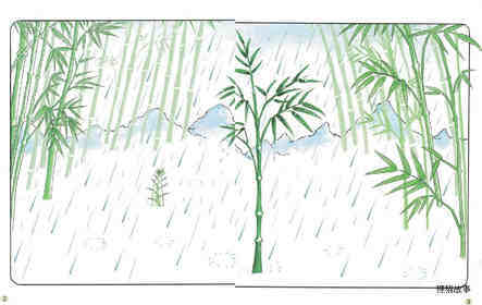 Billy the Bamboo’s Dream绘本故事第3页
