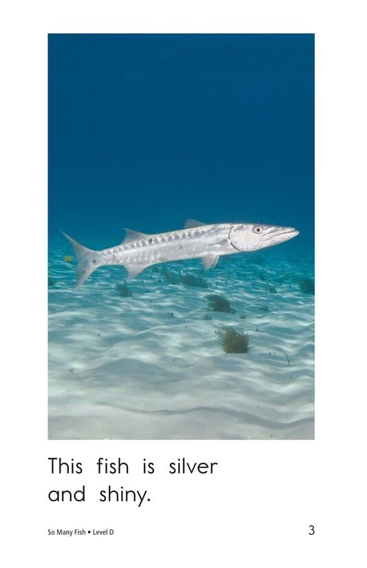 So Many Fish绘本故事第3页