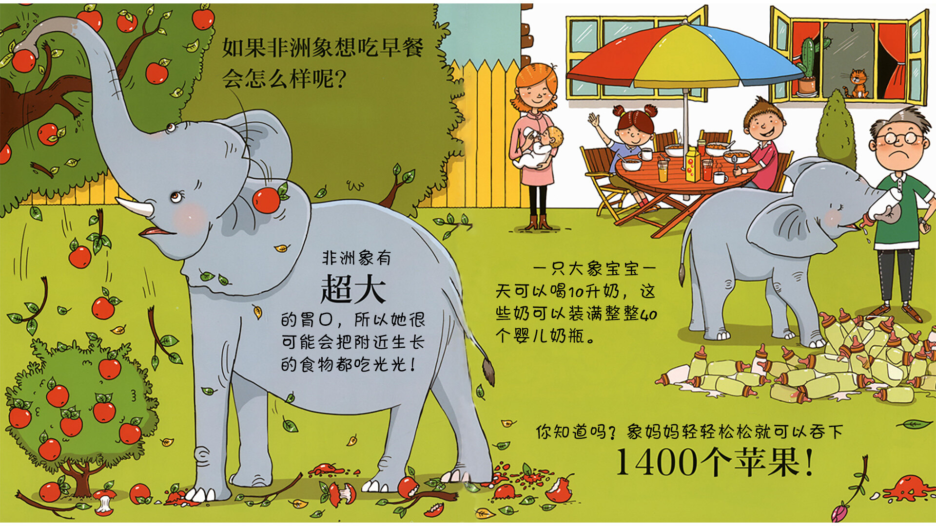 大象会跳芭蕾舞吗？绘本故事第5页