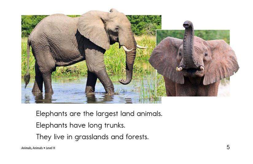 Animals,Animals绘本故事第5页