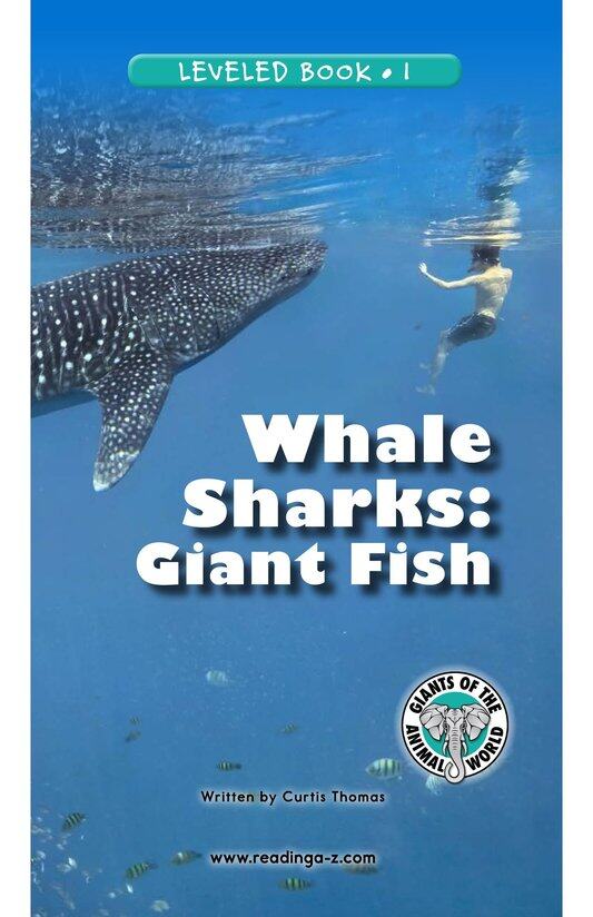 Whale Sharks Giant Fish绘本故事第2页