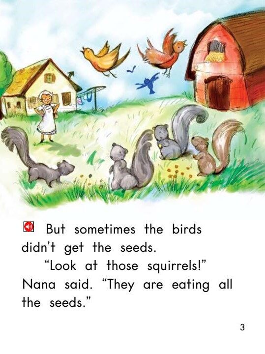 The Bird Feeders绘本故事第4页