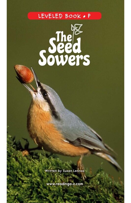 The Seed Sowers绘本故事第2页