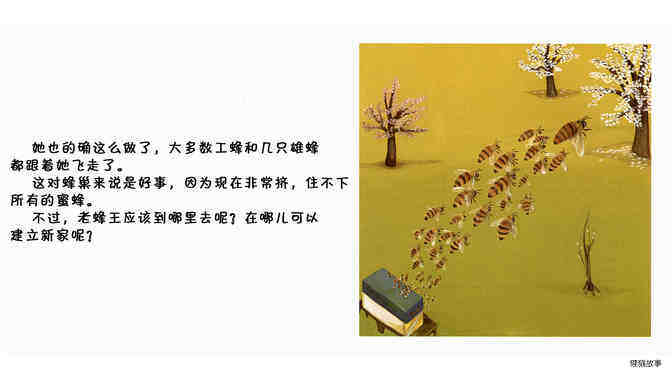 蜜蜂绘本故事第5页