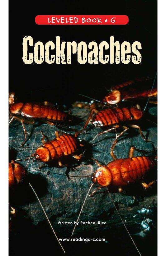 Cockroaches绘本故事第2页