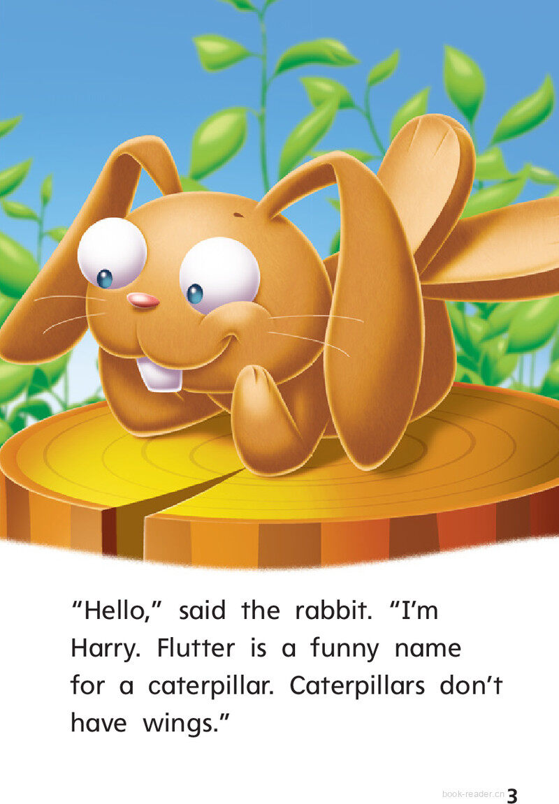 G1 On U5W2 Hide and Seek!绘本故事第5页