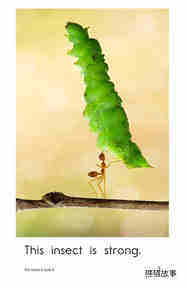 This Insect绘本故事第3页