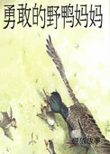 勇敢的野鸭妈妈