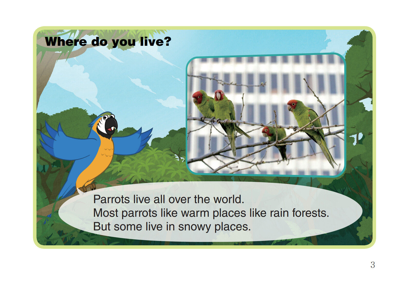 Parrot绘本故事第4页