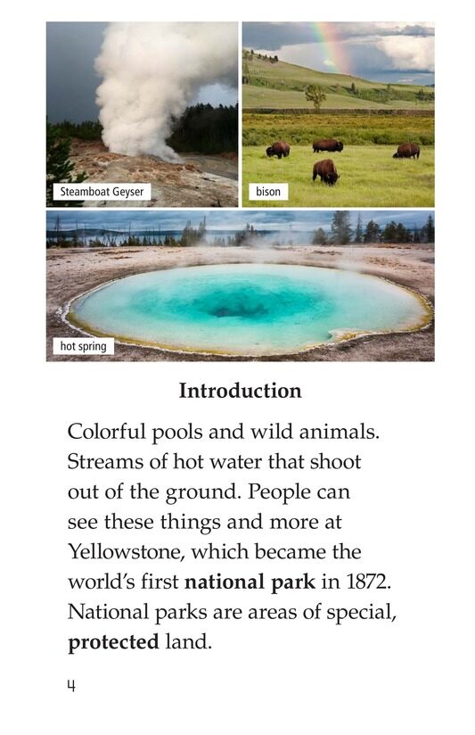 Yellowstone A Place of Wild Wonders绘本故事第3页