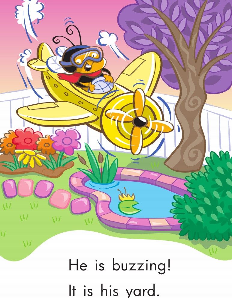 A Yard for All绘本故事第3页