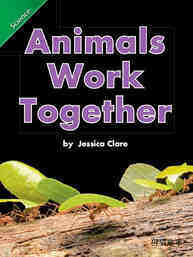 Animals work together
