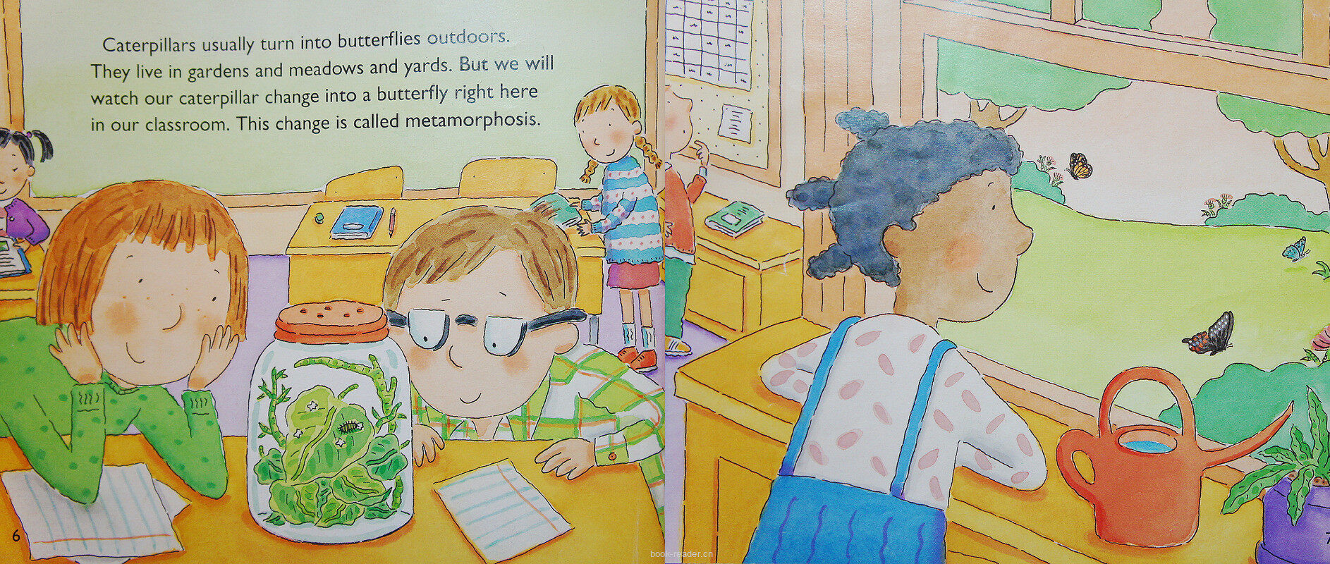 From caterpillar to butterfly绘本故事第4页