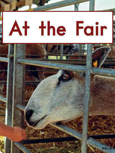 At the Fair
