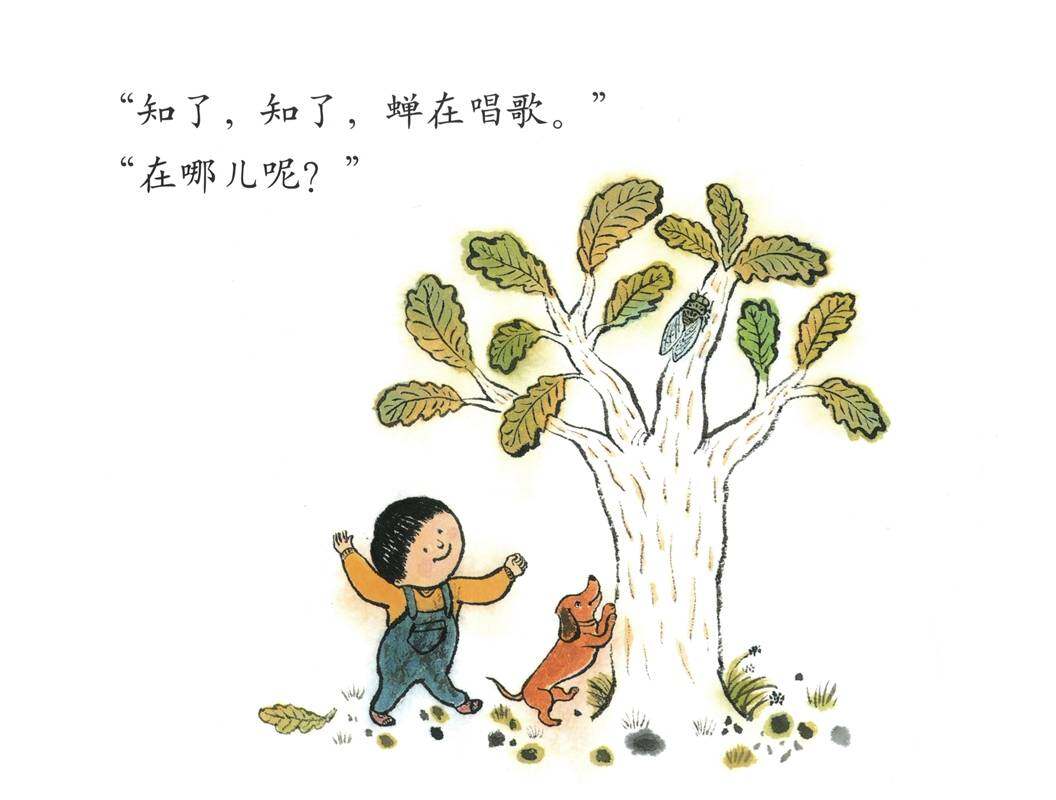 昆虫昆虫你在哪儿绘本故事第4页
