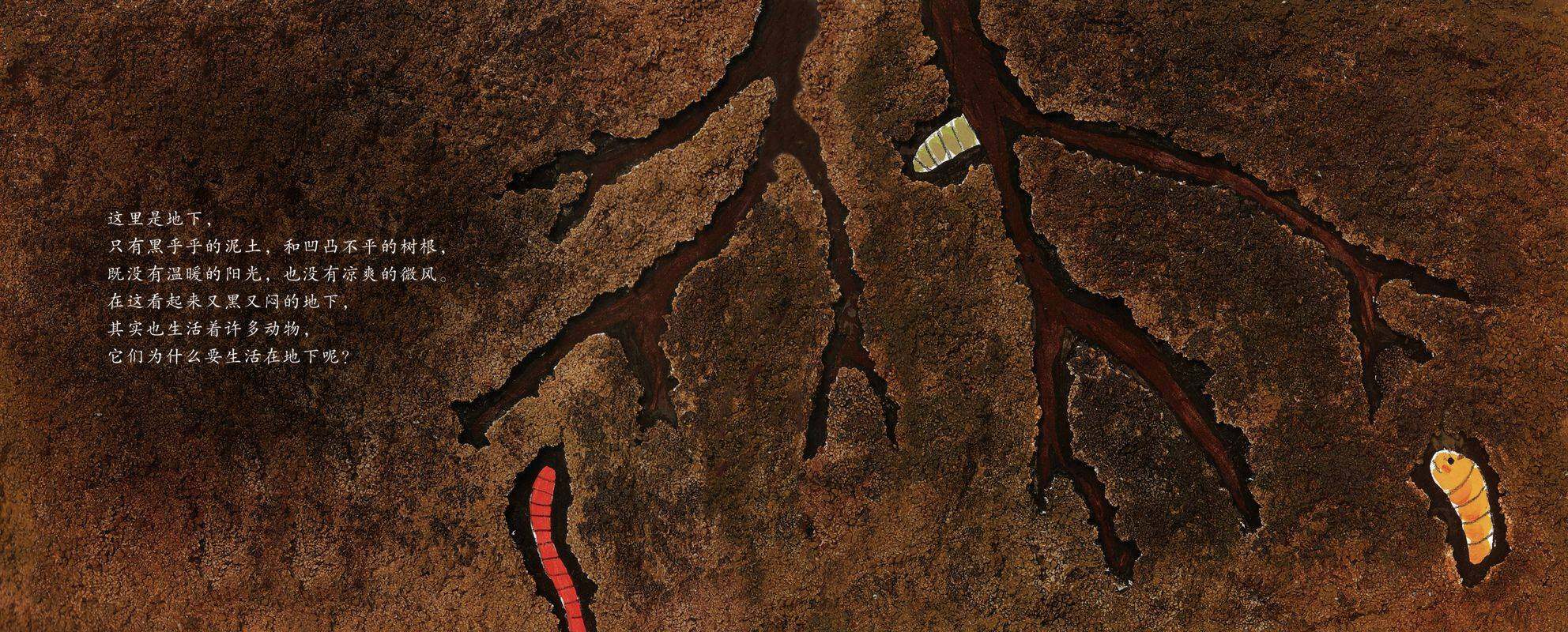 地底下的动物园绘本故事第2页