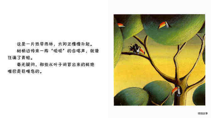 巨嘴鸟绘本故事第3页