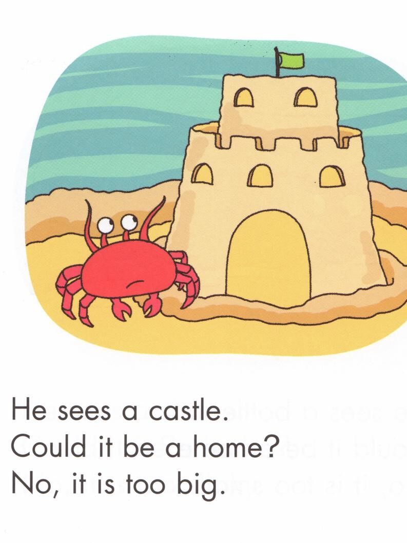 Hermit Crab's Home绘本故事第3页