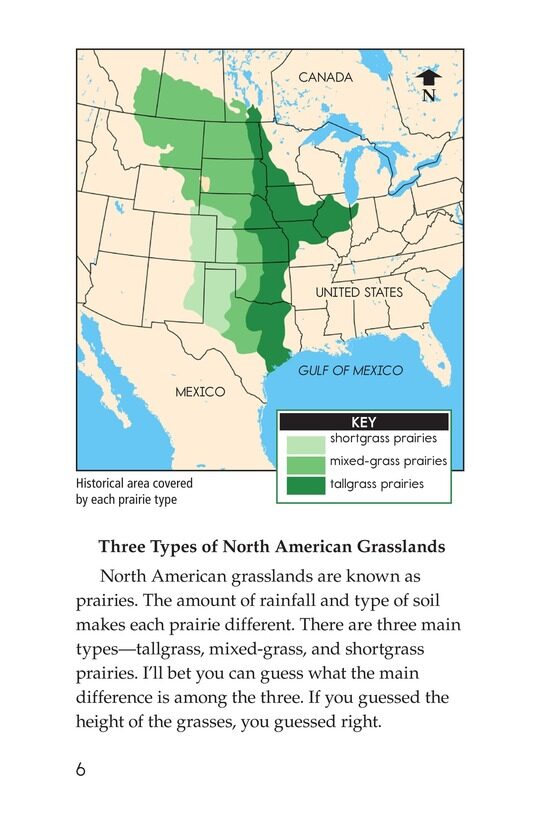 Prairies Alive!绘本故事第5页