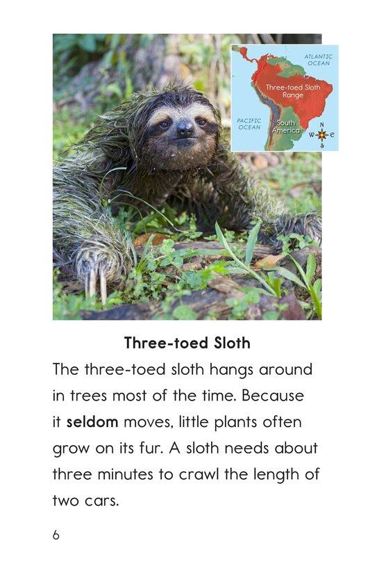 Slow and Slower绘本故事第5页