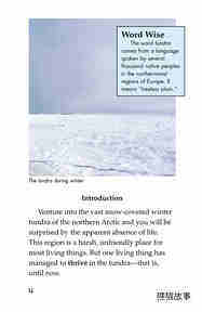 Plight of the Polar Bear绘本故事第3页