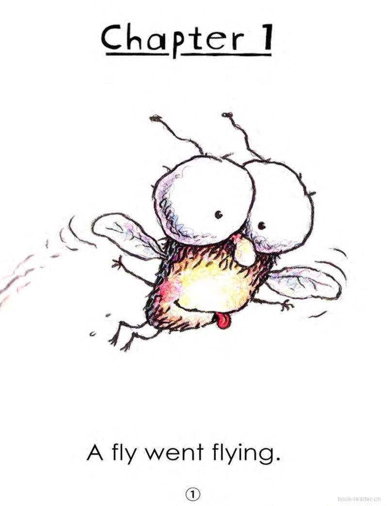 Hi! Fly Guy绘本故事第3页