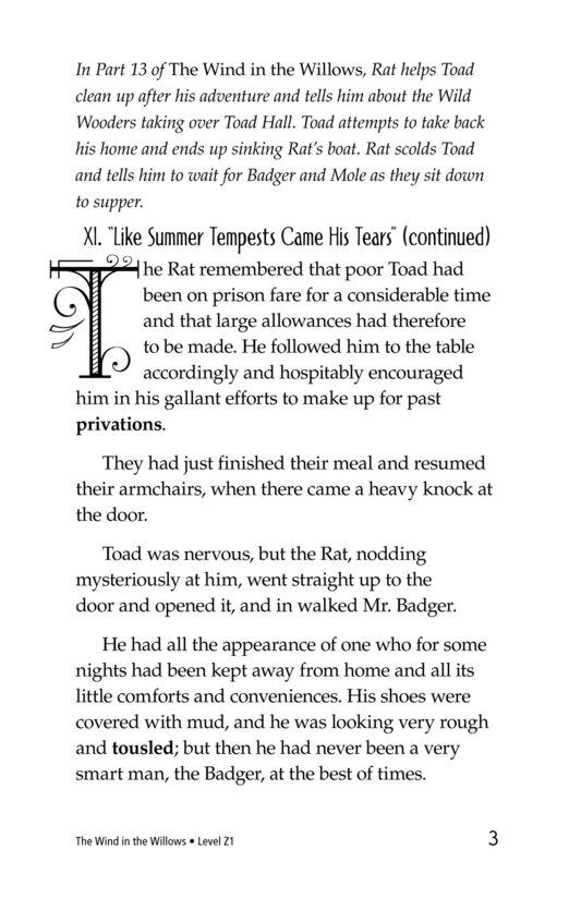 The Wind in the Willows (Part 14)绘本故事第3页