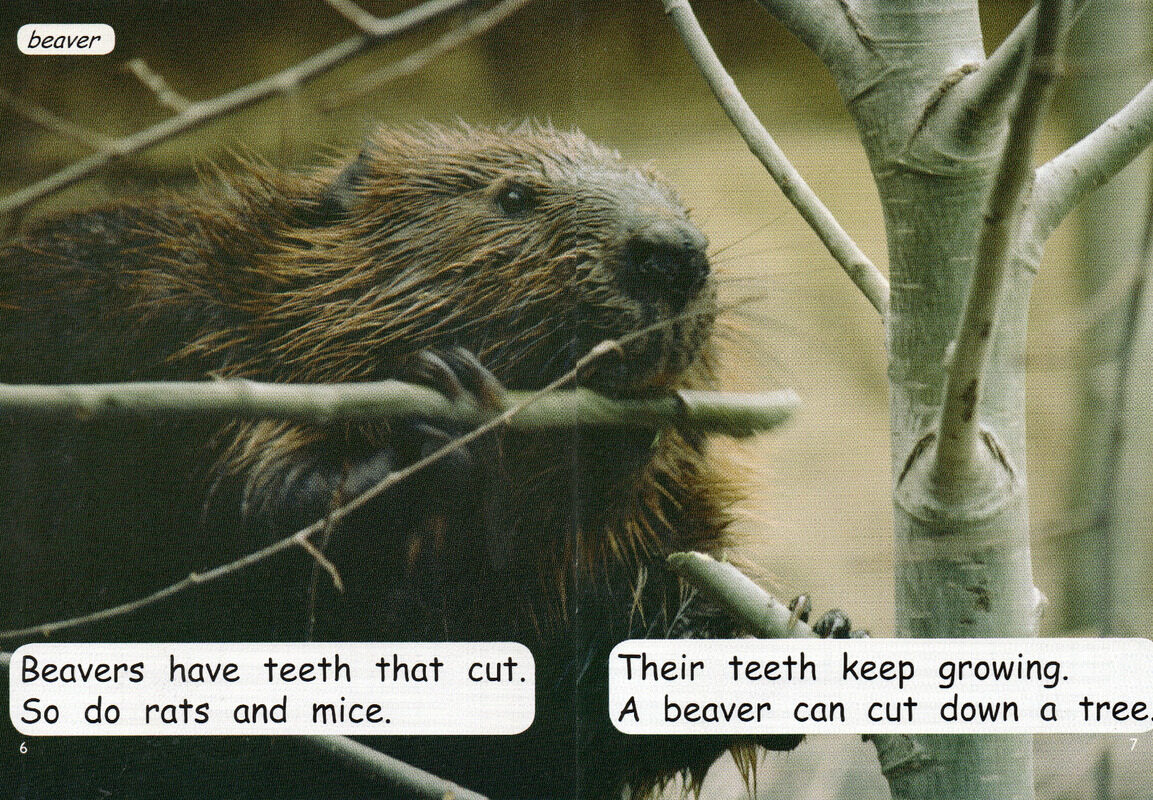 teeth绘本故事第5页