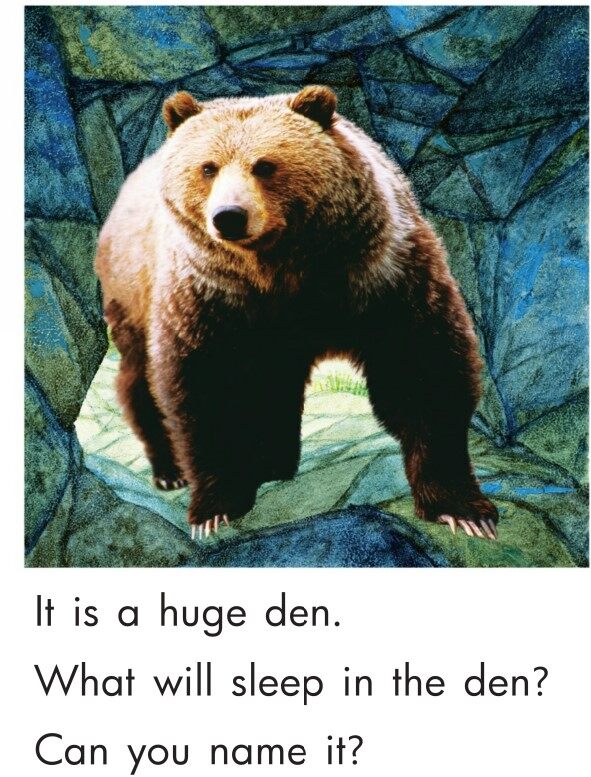 Where Do Animals Live？绘本故事第5页