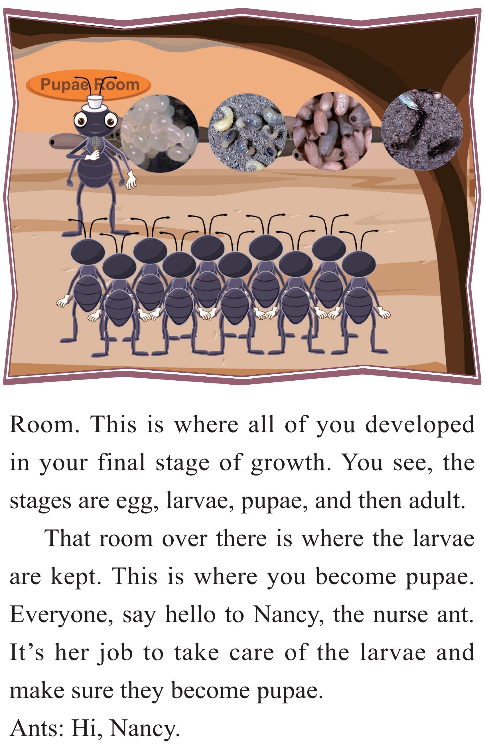 Ants绘本故事第3页