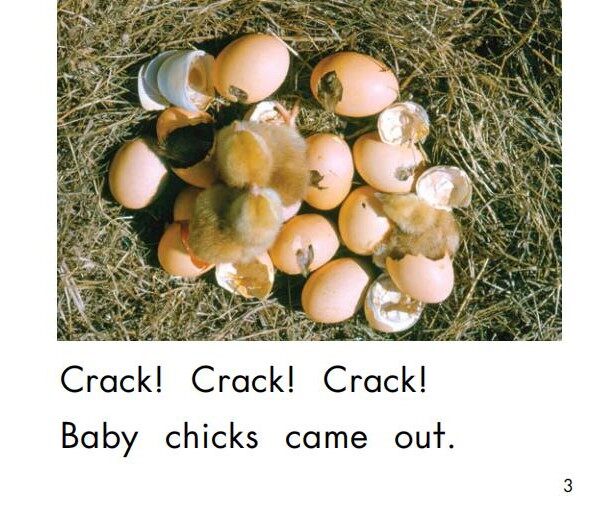 Eggs绘本故事第4页