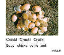 Eggs绘本故事第4页