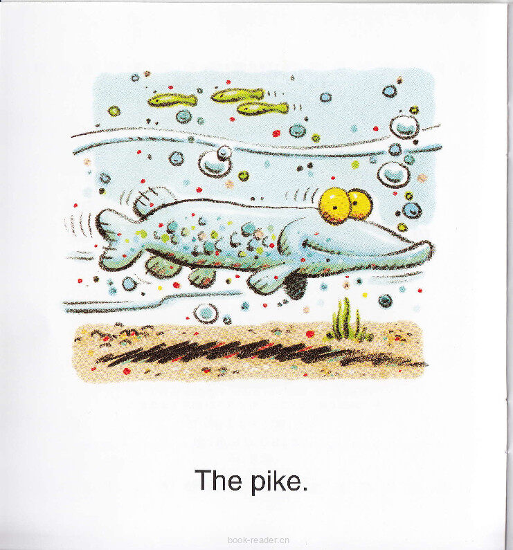 A Pike Glides绘本故事第3页