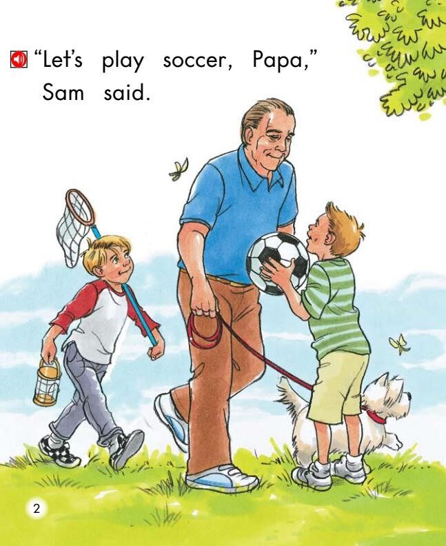 The soccer Game绘本故事第3页