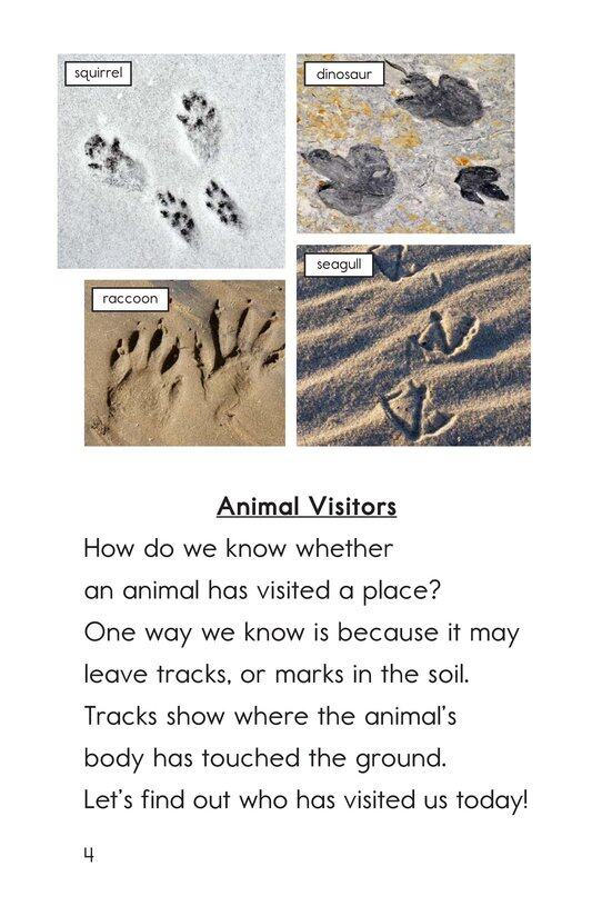 Whose Tracks Are These绘本故事第3页