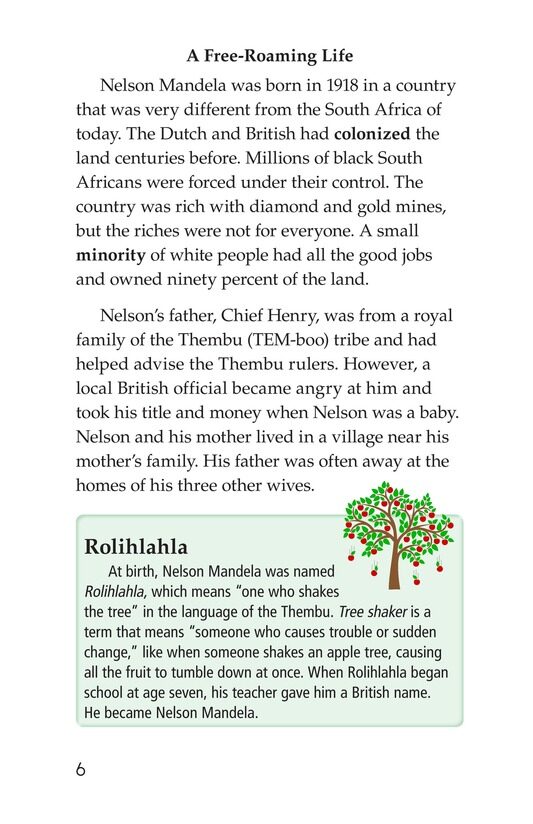 Nelson Mandela绘本故事第5页