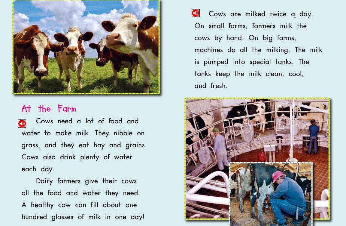 From Milk to Ice Cream绘本故事第4页