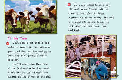 From Milk to Ice Cream绘本故事第4页