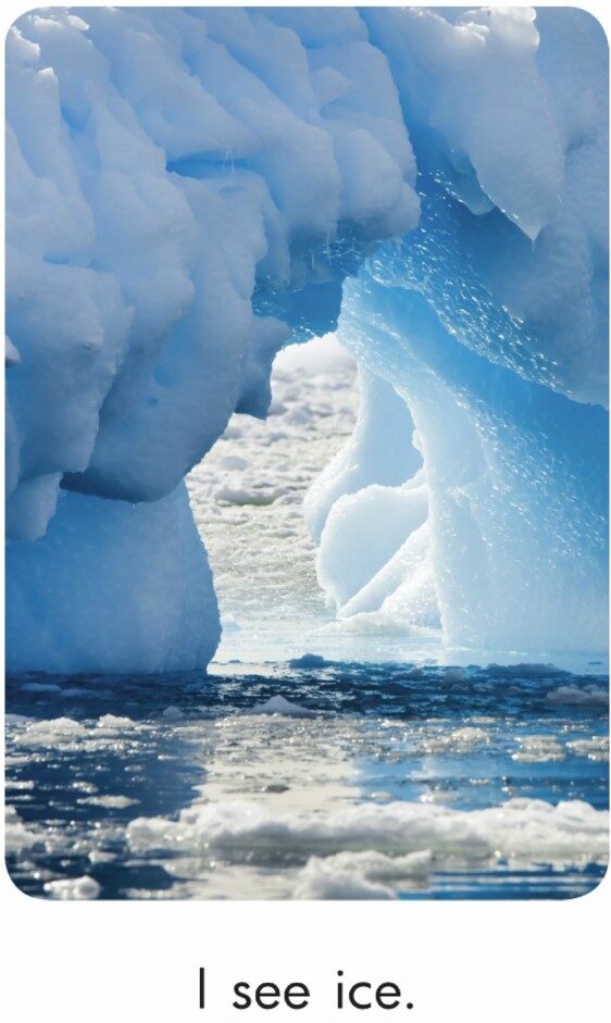 Antarctic Adventures绘本故事第4页