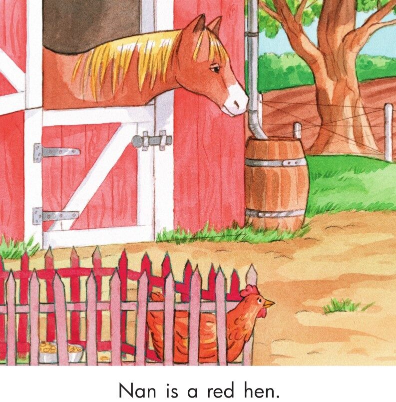 The red hen!绘本故事第3页