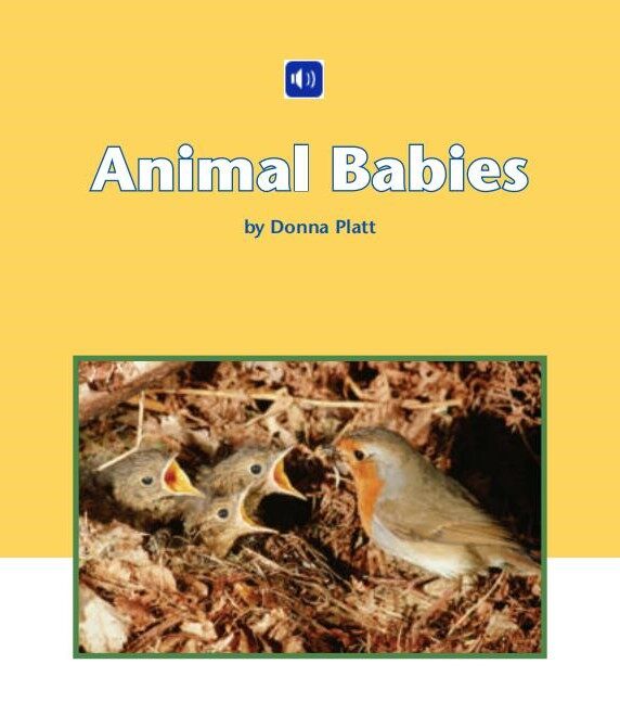 Animal Babies绘本故事第2页
