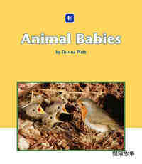 Animal Babies绘本故事第2页