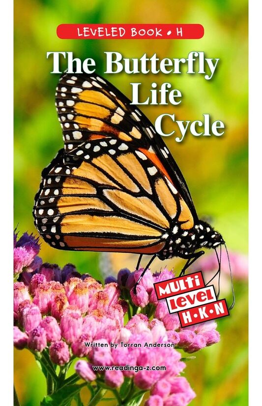The Butterfly Life Cycle绘本故事第2页