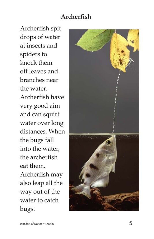 Wonders of Nature绘本故事第4页