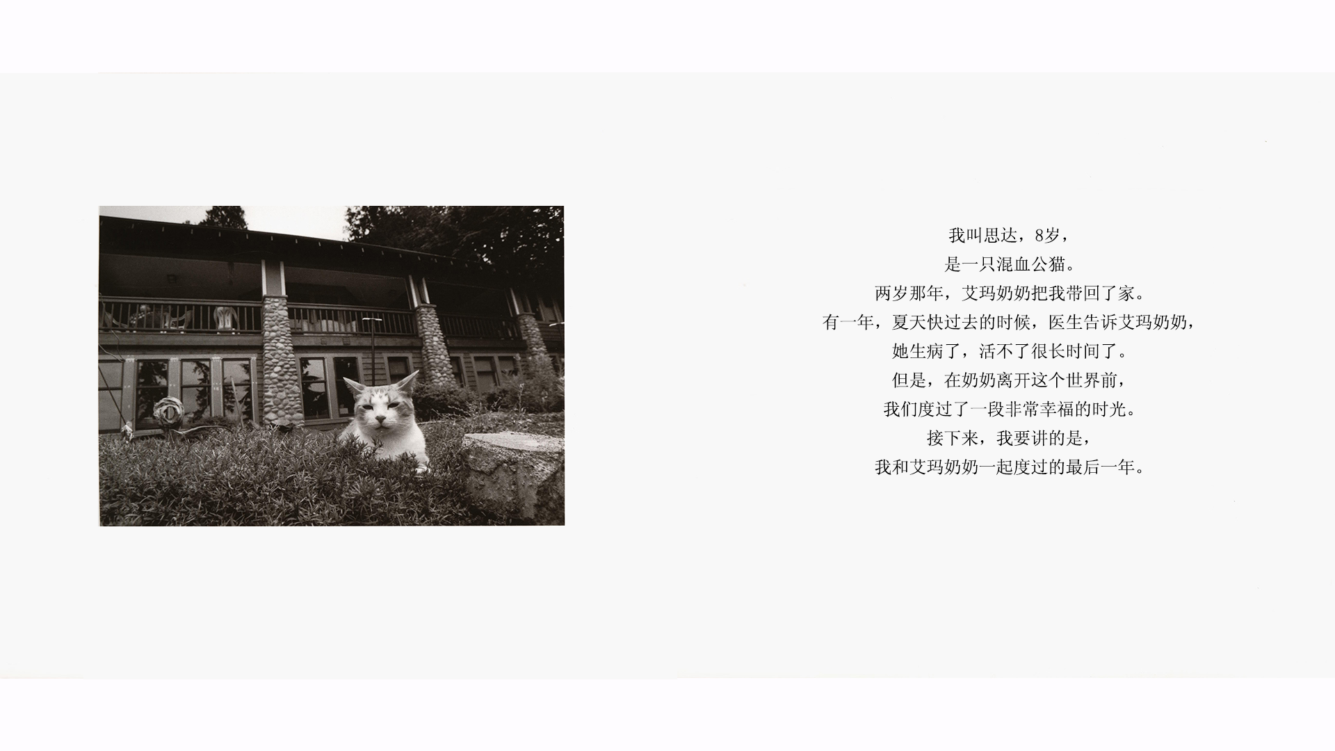 再见了，艾玛奶奶绘本故事第4页